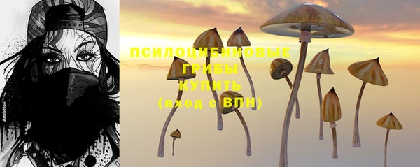 соль ск Кодинск