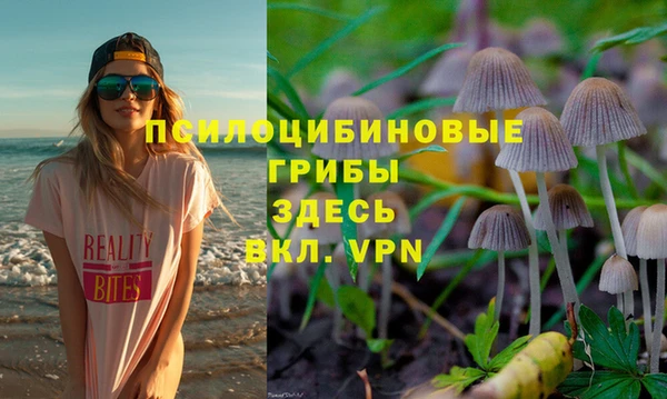 соль ск Кодинск