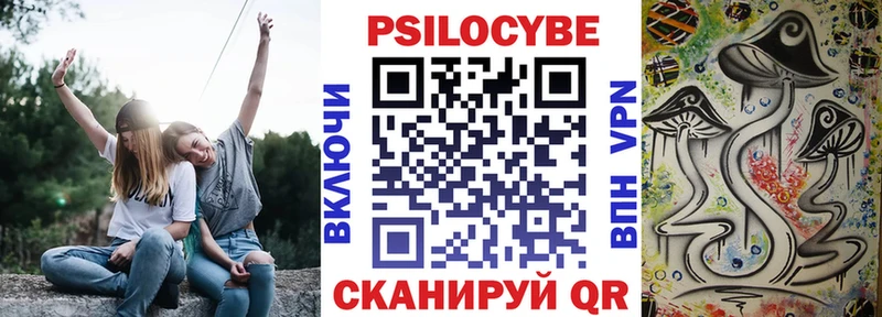 Купить  Новоульяновск  Псилоцибиновые грибы Psilocybine cubensis 