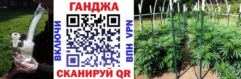 Бошки марихуана ГИДРОПОН  Купить где  Новоульяновск 